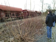 Jan Schalauske blickt auf einen vorbeifahrenden Güterzug am Standort des alten Bahnhofs in Amöneburg.
